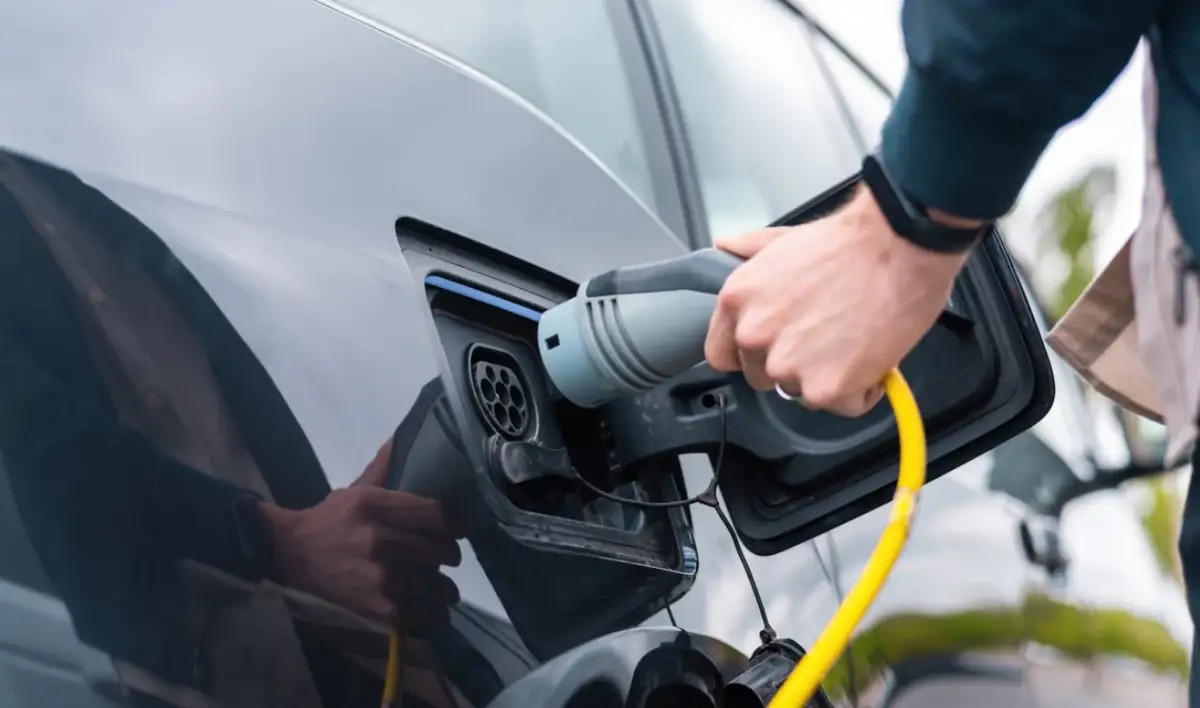 electrocars statistics